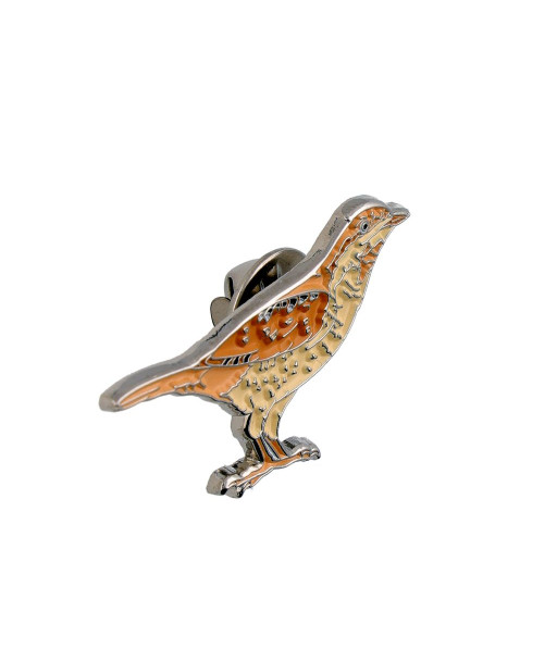 Eurasian Wryneck Enamel Pin